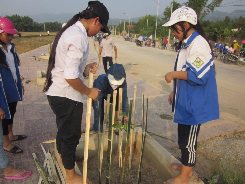 Trường THCS Nam Thanh tham gia trồng cây xanh bảo vệ môi trường