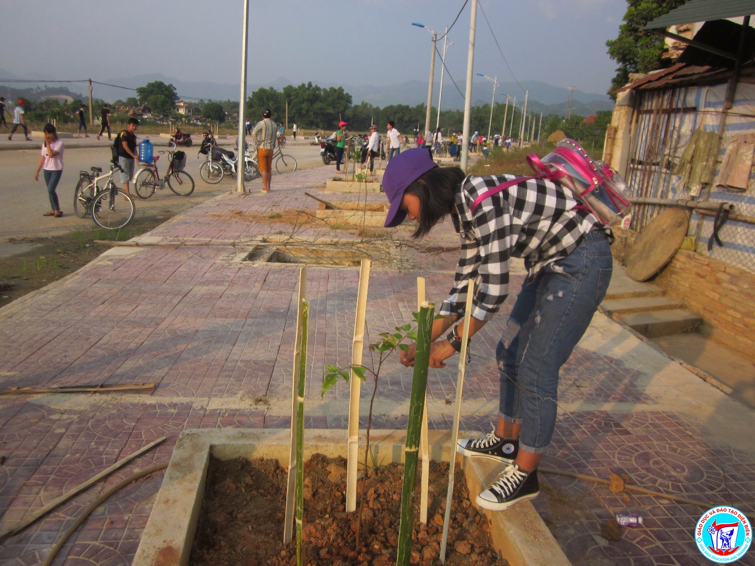 Thầy cô - HS tích cực tham gia trồng cây