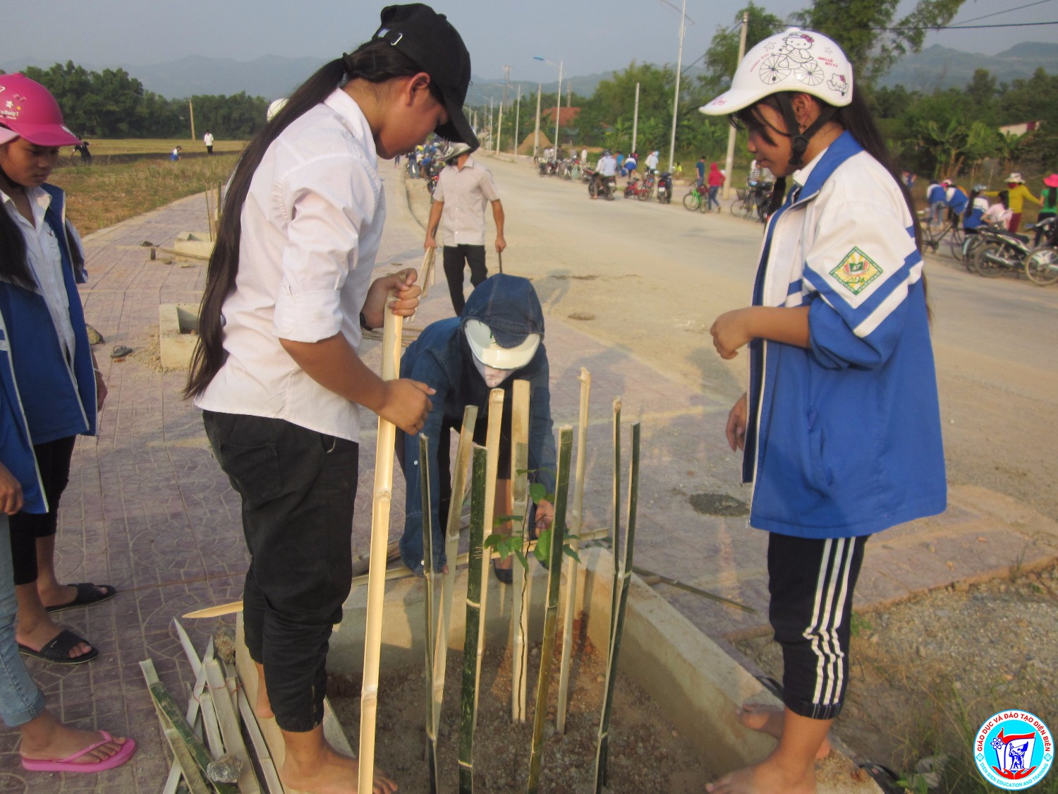 Thầy cô - HS tích cực tham gia trồng cây